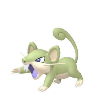 Rattata artwork