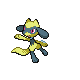 Riolu shiny front-facing sprite from Pokémon Diamond