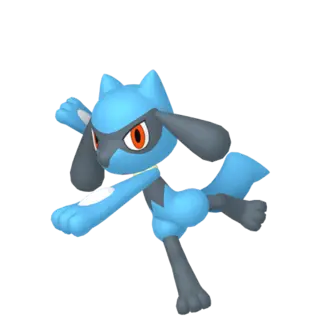 Riolu front-facing sprite from Pokémon Violet