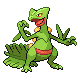 Sceptile front-facing sprite from Pokémon Pearl