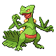 Sceptile front-facing sprite from Pokémon HeartGold