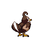 Staravia shiny back-facing sprite from Pokémon Black