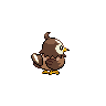 Starly shiny back-facing sprite from Pokémon White 2