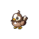 Starly shiny front-facing sprite from Pokémon Diamond