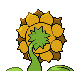 Sunflora back-facing sprite from Pokémon Pearl