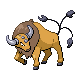 Tauros front-facing sprite from Pokémon SoulSilver