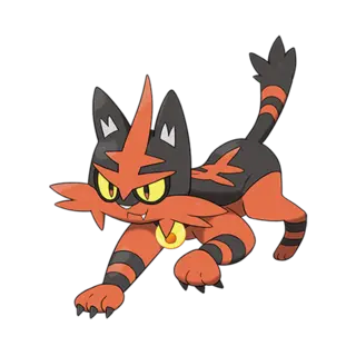 Torracat official artwork