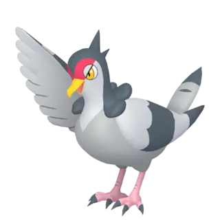 Tranquill front-facing sprite from Pokémon Shield