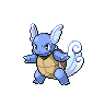 Wartortle front-facing sprite from Pokémon White 2