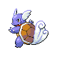 Wartortle front-facing sprite from Pokémon Diamond