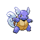 Wartortle front-facing sprite from Pokémon HeartGold
