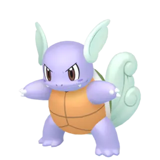 Wartortle artwork