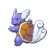Wartortle front-facing sprite from Pokémon Platinum