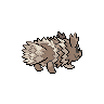 Zigzagoon back-facing sprite from Pokémon Black 2